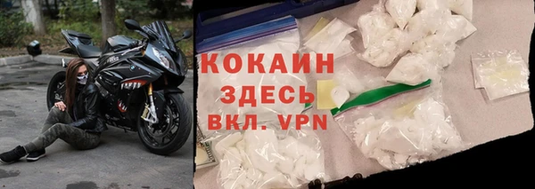 индика Волосово