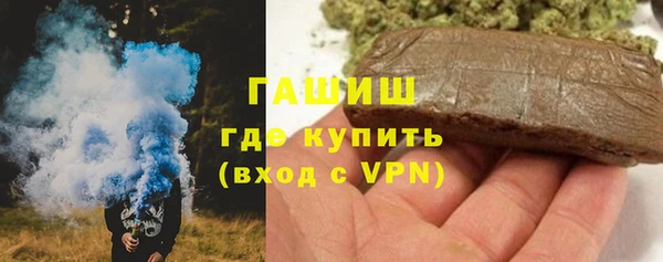 индика Волосово