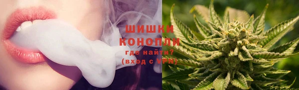 индика Волосово