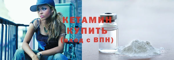 индика Волосово