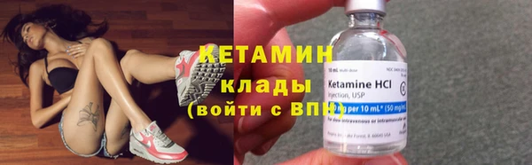 индика Волосово