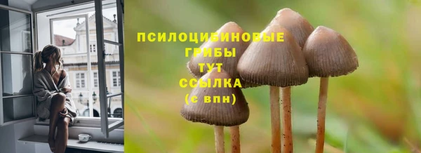 индика Волосово