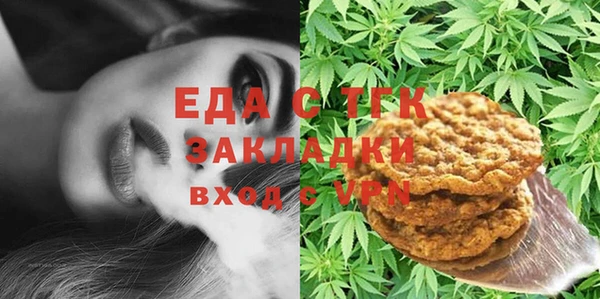 индика Волосово