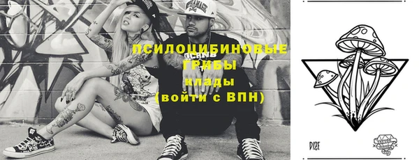 индика Волосово
