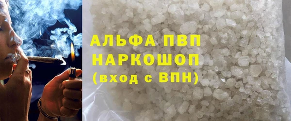 индика Волосово
